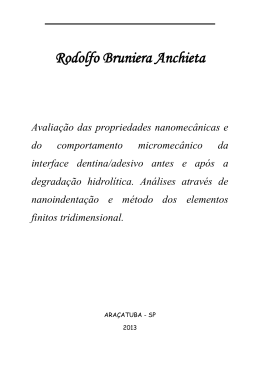 Rodolfo Bruniera Anchieta