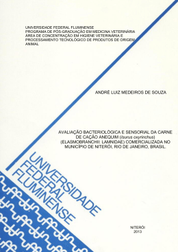 ANDR&Eacute; LUIZ MEDEIROS DE SOUZA AVALIA&Ccedil;&Atilde;O