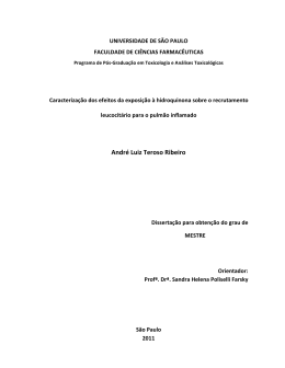 Andr&eacute; Luiz Teroso Ribeiro - Biblioteca Digital de Teses e