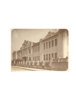 Andre Luiz Meirelles - unisantos - Universidade Cat&oacute;lica de Santos