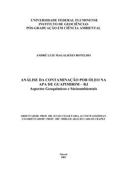 Disserta&ccedil;&atilde;o Mestrado A Botelho 2003