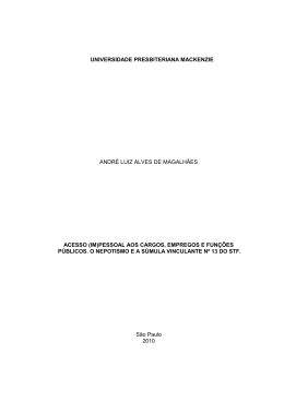 Andre Luiz Alves de Magalhaes - in&iacute;cio