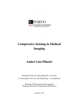 Compressive Sensing in Medical Imaging André Luiz Pilastri