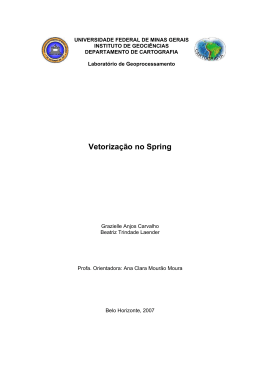 Vetoriza&ccedil;&atilde;o no Spring - aprogeo-mg