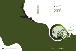 Inc&ecirc;ndios Florestais 5 anos ap&oacute;s 2003