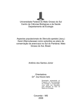 Antonio dos Santos Junior