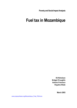 Mozambique Poverty and Social Impact Analysis