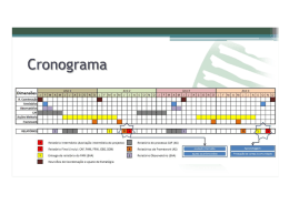Cronograma Processo de Auto