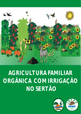 agricultura familiar orgânica com irrigação no sertão