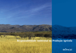 Responsabilidade Ambiental na Produ&ccedil;&atilde;o Agr&iacute;cola