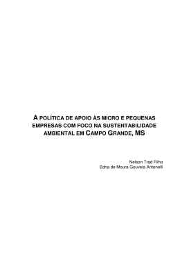 a pol&iacute;tica de apoio &agrave;s micro e pequenas empresas com
