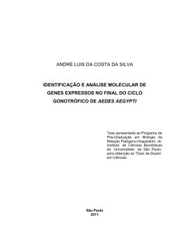 andr&eacute; luis da costa da silva identifica&ccedil;&atilde;o e an&aacute;lise molecular de