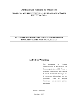 Andre Luis Willerding - TEDE