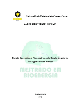ANDR&Eacute; LUIS TRENTIN SCREMIN Estudo Energ&eacute;tico e