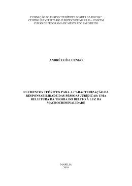 andr&eacute; lu&iacute;s luengo elementos te&oacute;ricos para a caracteriza&ccedil;&atilde;o da