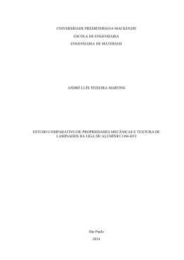 Andre Luis Teixeira Martins