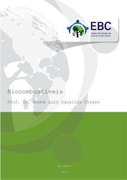 Biocombust&iacute;veis - Minist&eacute;rio do Desenvolvimento, Ind&uacute;stria e