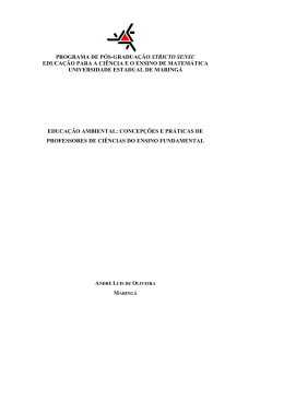 Educa&ccedil;&atilde;o Ambiental: concep&ccedil;&otilde;es e pr&aacute;ticas de professores de