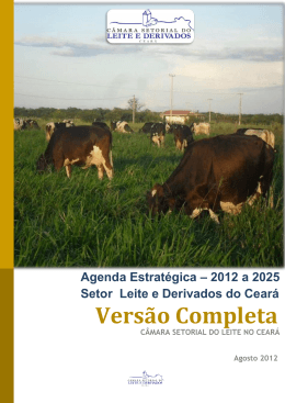 Agenda Estrat&eacute;gica 2012 &ndash; 2025 - Adece