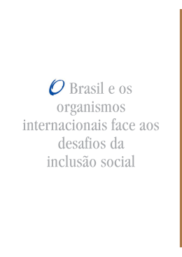 Brasil e os organismos internacionais face aos desafios da inclus&atilde;o