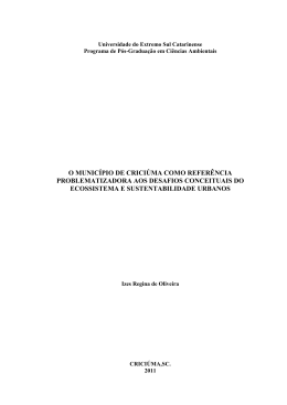 Disserta&ccedil;&atilde;o - Universidade do Extremo Sul Catarinense