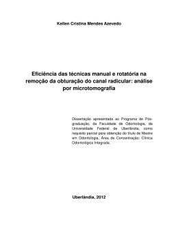 (DISSERTA\347\343okellenfinalposdefea.docx II)