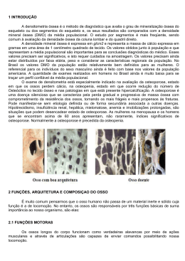 1 INTRODU&Ccedil;&Atilde;O A densitometria &oacute;ssea &eacute; o m&eacute;todo de diagn&oacute;stico