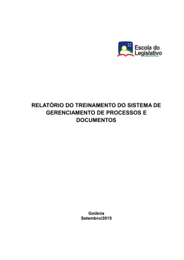 relatório do treinamento do sistema de gerenciamento de processos