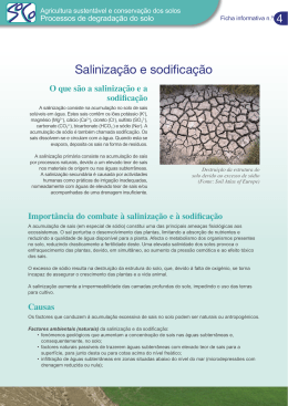 Saliniza&ccedil;&atilde;o e sodifica&ccedil;&atilde;o - agrilife