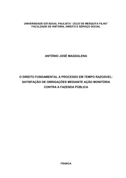 ant&ocirc;nio jos&eacute; magdalena o direito fundamental a