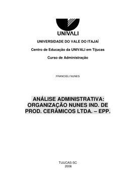 AN&Aacute;LISE ADMINISTRATIVA: ORGANIZA&Ccedil;&Atilde;O NUNES IND