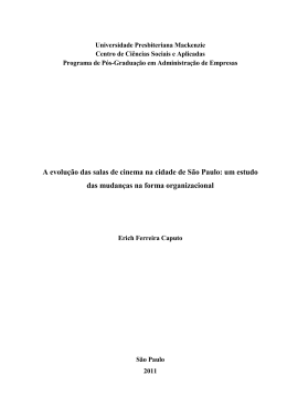 Erich Ferreira Caputo - in&iacute;cio
