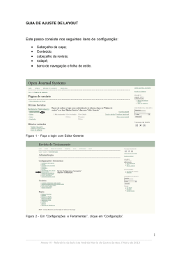 guia de ajuste de layout do seer