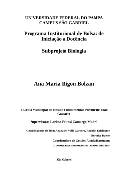 Ana Maria Rigon Bolzan
