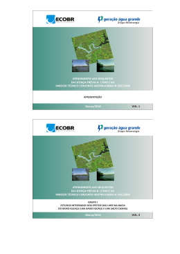 Mar&ccedil;o/2010 VOL. 1 ATENDIMENTO AOS REQUISITOS DA