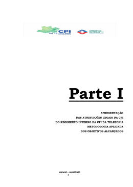 relatoria final cpi