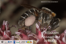Pollinators Management in Brazil