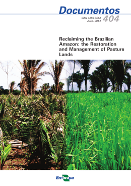 Reclaiming the Brazilian Amazon: the Restoration and Management