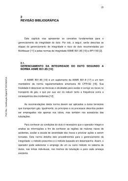 2 REVIS&Atilde;O BIBLIOGR&Aacute;FICA - Maxwell - PUC-Rio