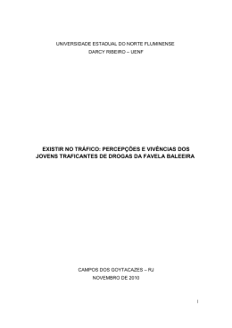 existir no tr&aacute;fico: percep&ccedil;&otilde;es e viv&ecirc;ncias dos jovens