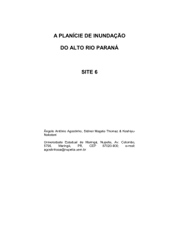 impacto UHR Rio Paran&aacute;