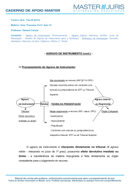 Processamento do Agravo de Instrumento