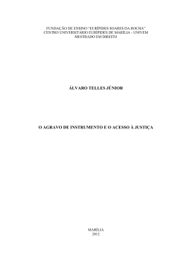 &Aacute;LVARO TELLES J&Uacute;NIOR O AGRAVO DE INSTRUMENTO E O