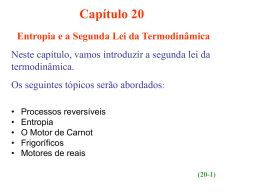 Capitulo 20