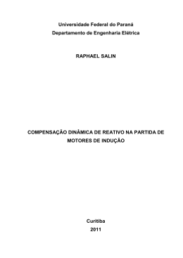 raphael salin compensa&ccedil;&atilde;o din&acirc;mica de reativo na partida de