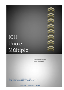 ich_uno_m&uacute;ltiplo