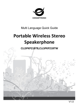 Portable Wireless Stereo Speakerphone
