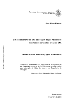 Lilian Alves Martins Dimensionamento de uma estocagem de g&aacute;s