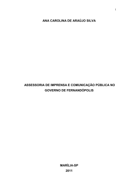 ANA CAROLINA DE ARA&Uacute;JO SILVA ASSESSORIA DE