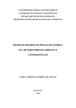 res&iacute;duos s&oacute;lidos em praias do litoral sul de